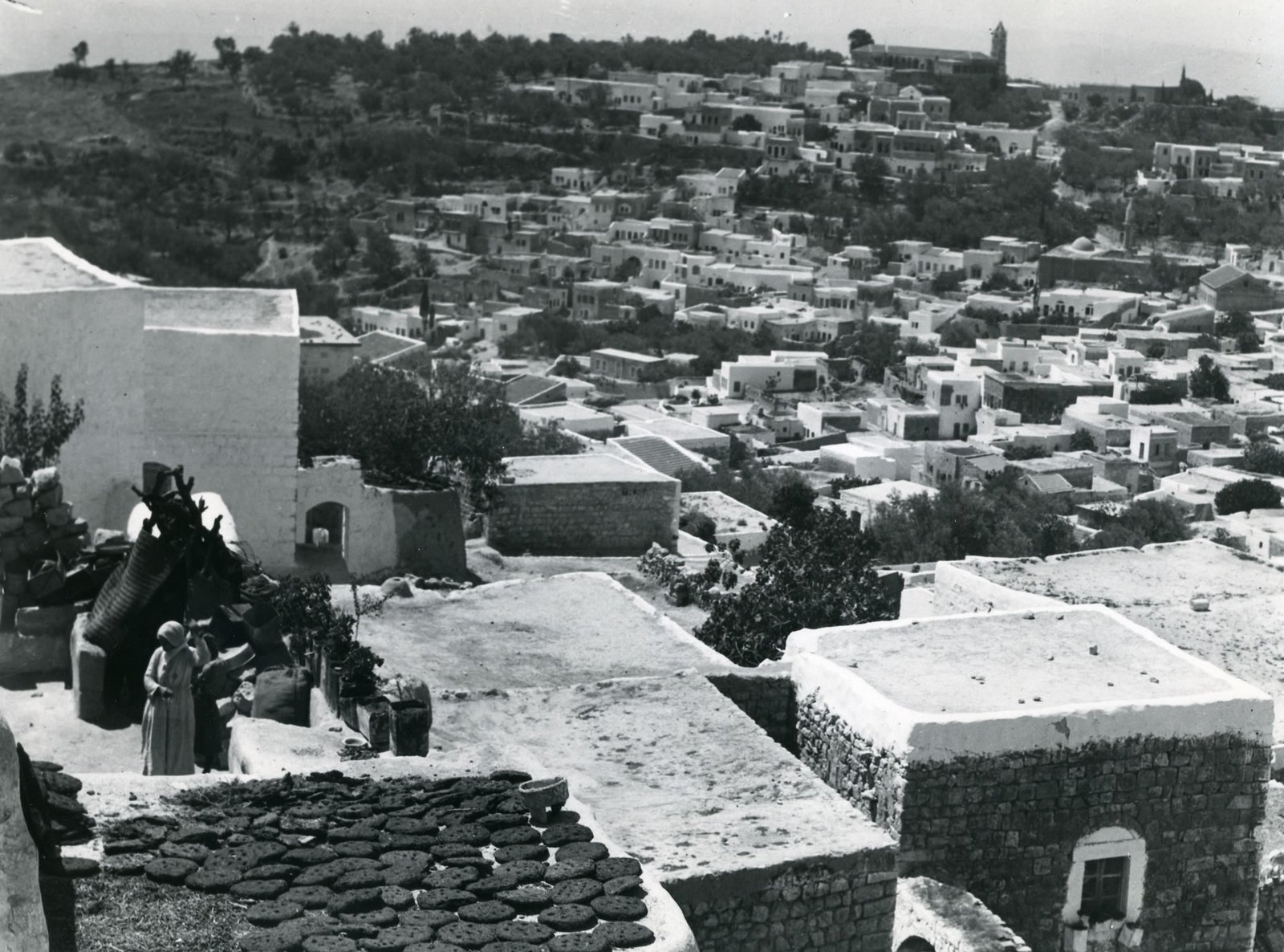 موسوعة التراث الفلسطيني | أبو نمر السبع (مخيم عين الحلوة، 1950-1980): زرع الذاكرة