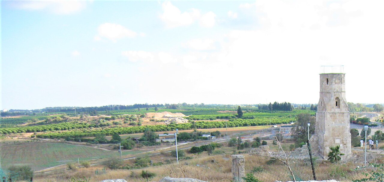 موسوعة التراث الفلسطيني | مسجد يبنا الكبير
