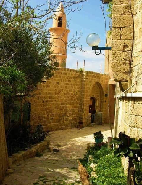 موسوعة التراث الفلسطيني | جامع الطابية